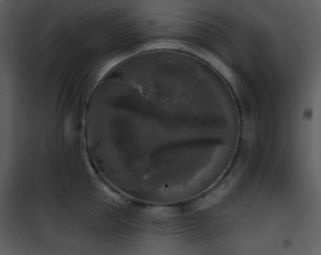 X0000102000953200807181202