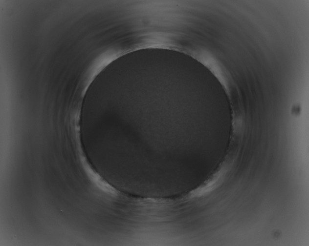 X0000102000954200807181202