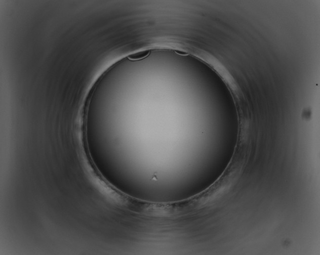 X0000102000955200807181202