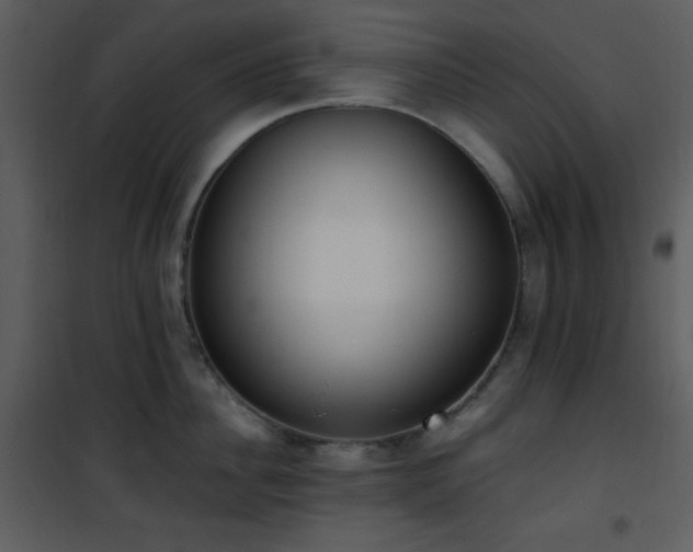 X0000102000956200807181202