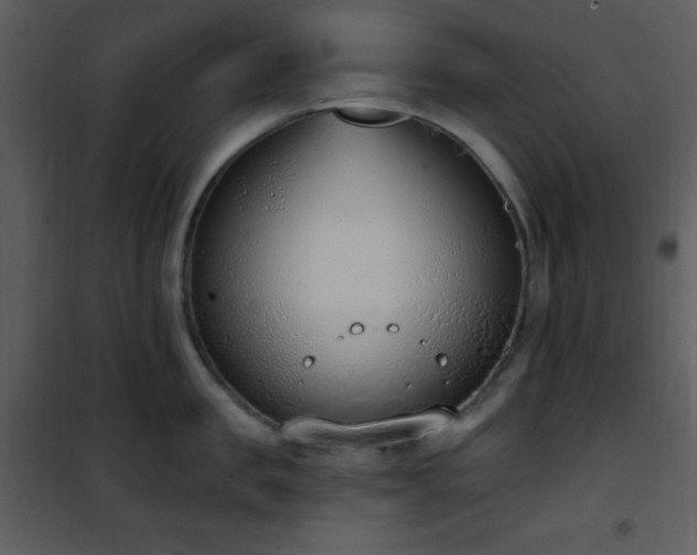 X0000102000957200807181202