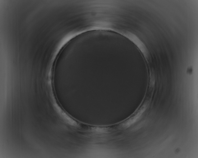 X0000102000958200807181202