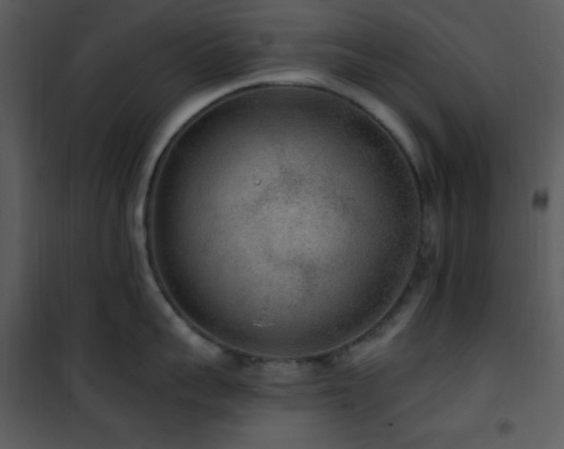 X0000102000959200807181202