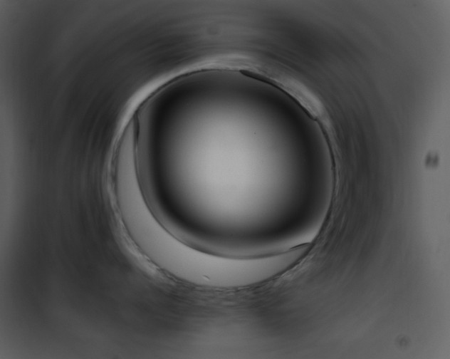 X0000102000960200807181202