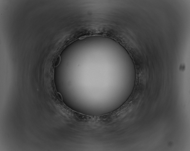 X0000102000961200807181201