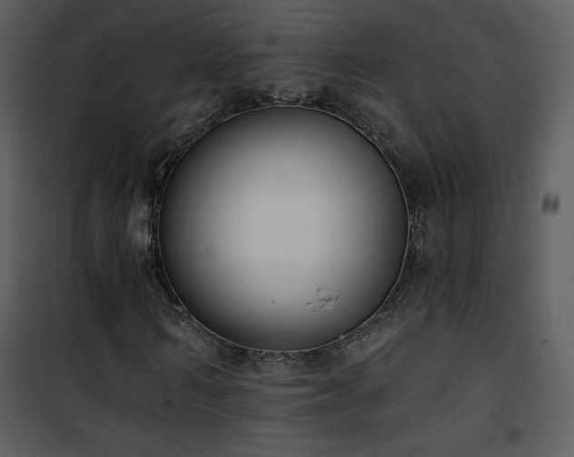 X0000102000962200807181201