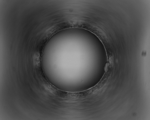 X0000102000963200807181201