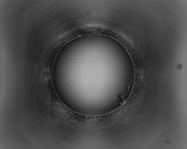 X0000102000965200807181201