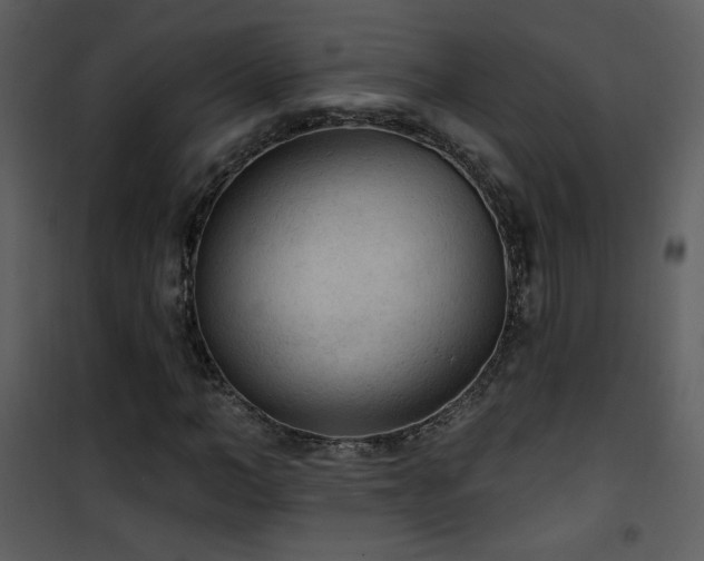 X0000102000966200807181201