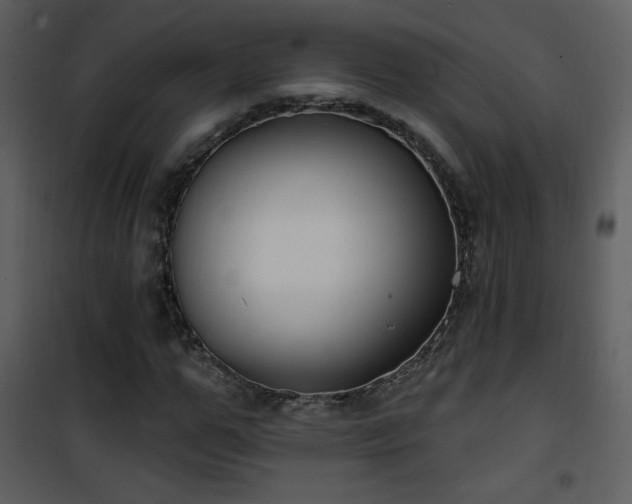 X0000102000967200807181201