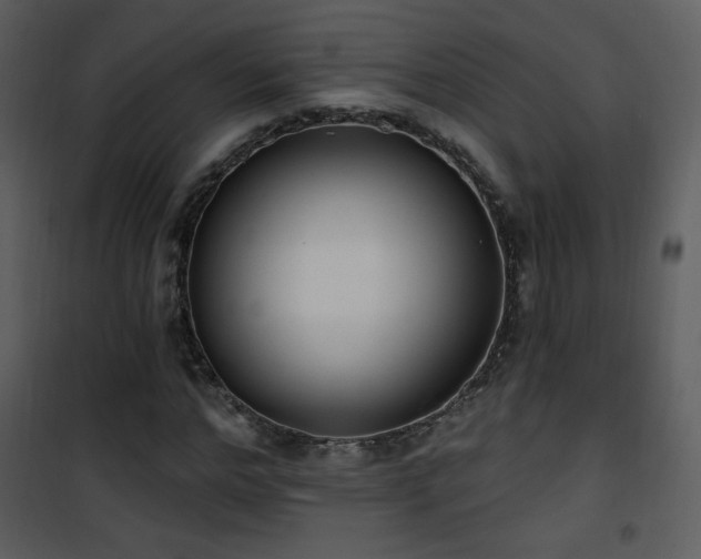 X0000102000968200807181201