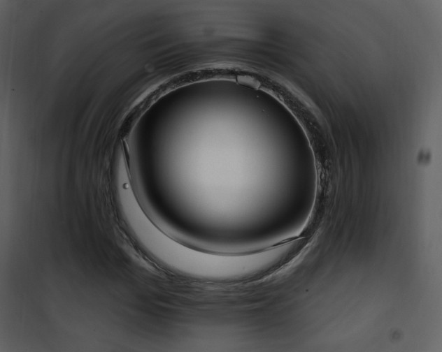 X0000102000969200807181201