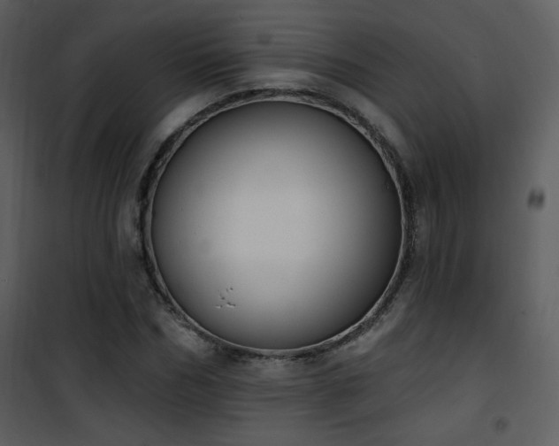 X0000102000970200807181201