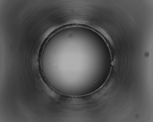 X0000102000972200807181201