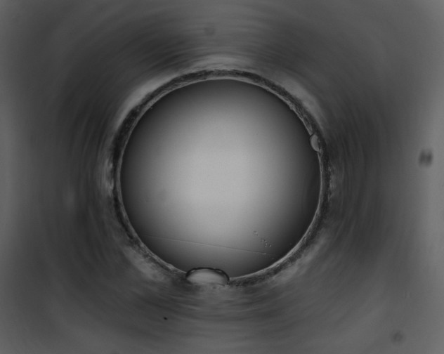 X0000102000973200807181201