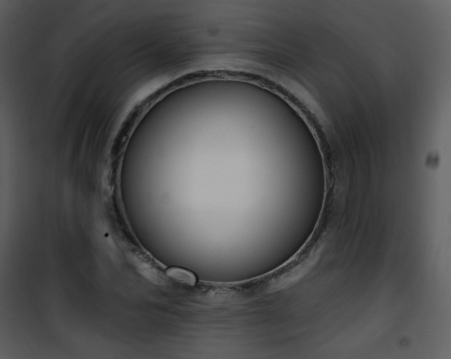 X0000102000974200807181201