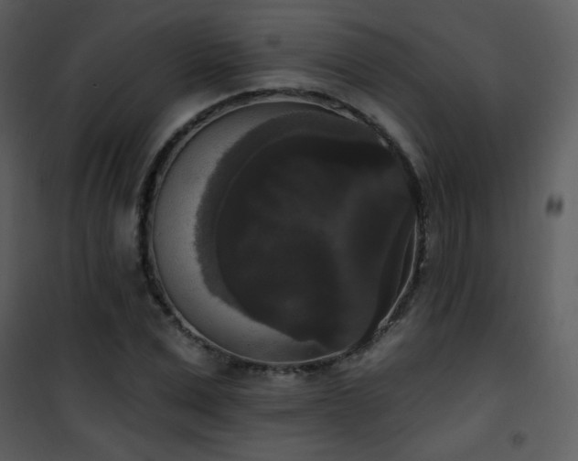 X0000102000975200807181201