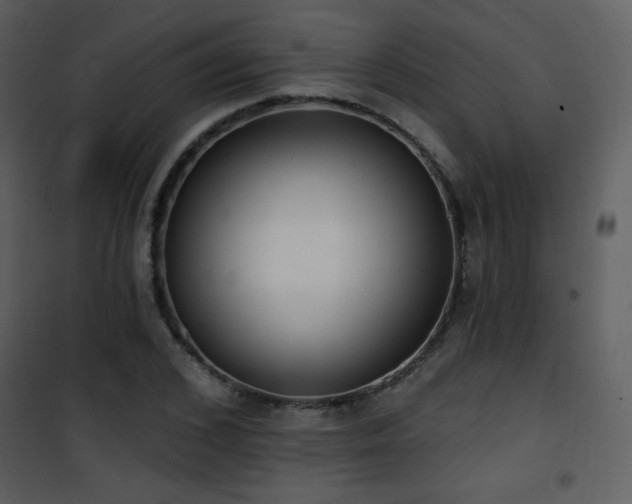 X0000102000976200807181201