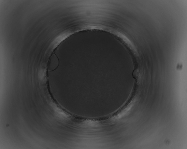 X0000102000977200807181201