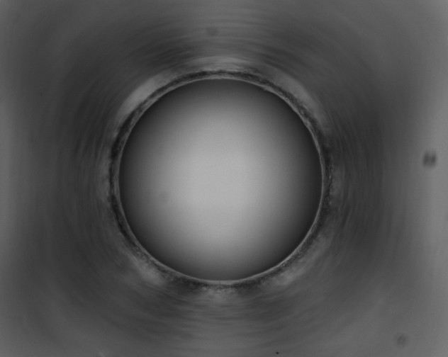 X0000102000978200807181201