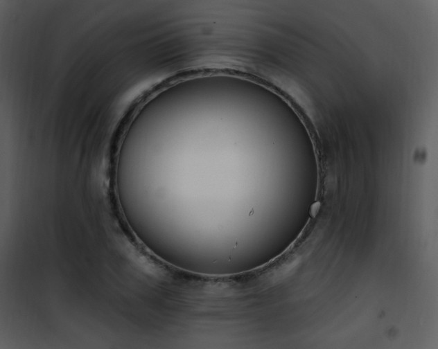 X0000102000979200807181201