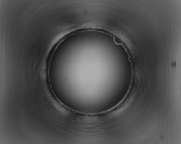 X0000102000981200807181201