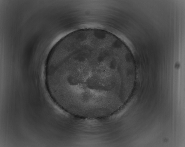 X0000102000983200807181201