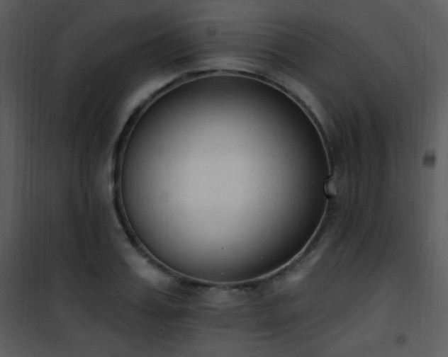 X0000102000987200807181201