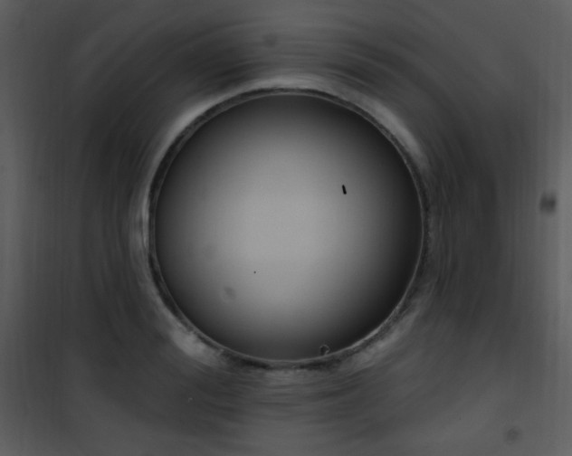 X0000102000988200807181201