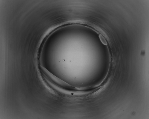 X0000102000989200807181201