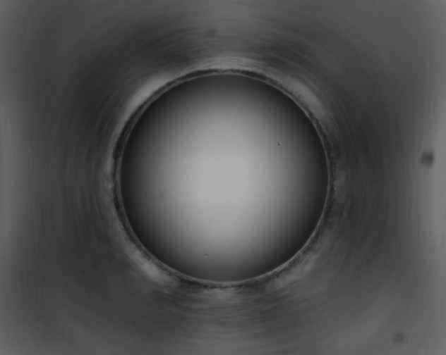 X0000102000990200807181201