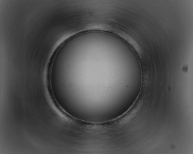 X0000102000991200807181201