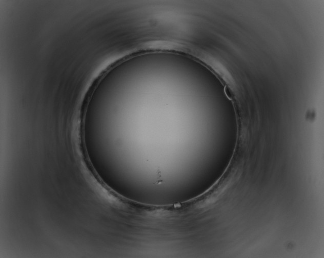 X0000102000992200807181201