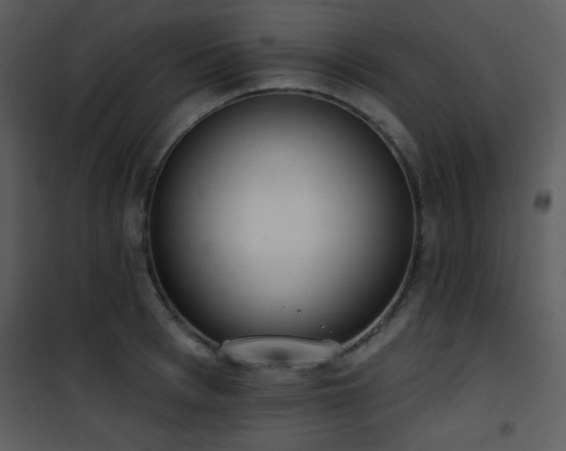 X0000102000993200807181201