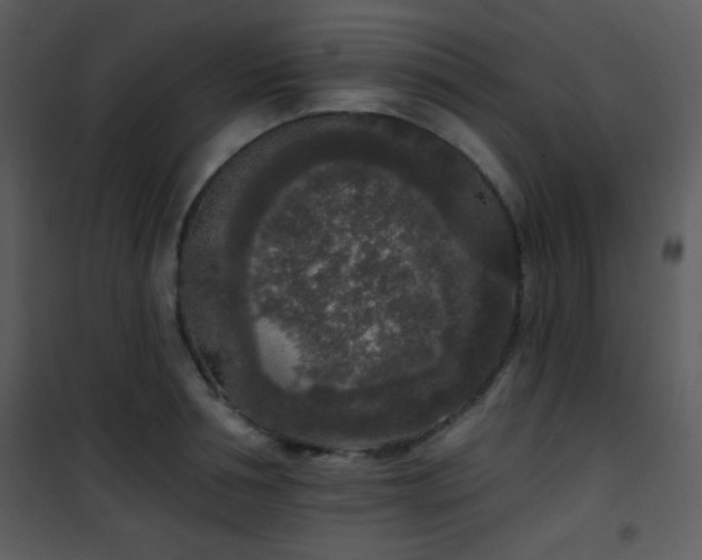 X0000102000994200807181201