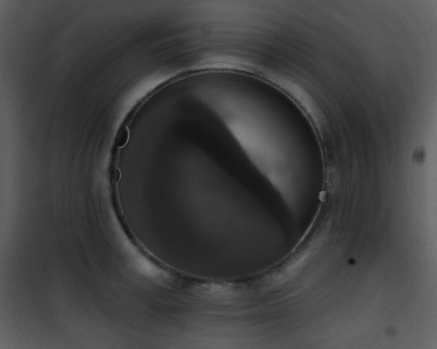 X0000102000995200807181201