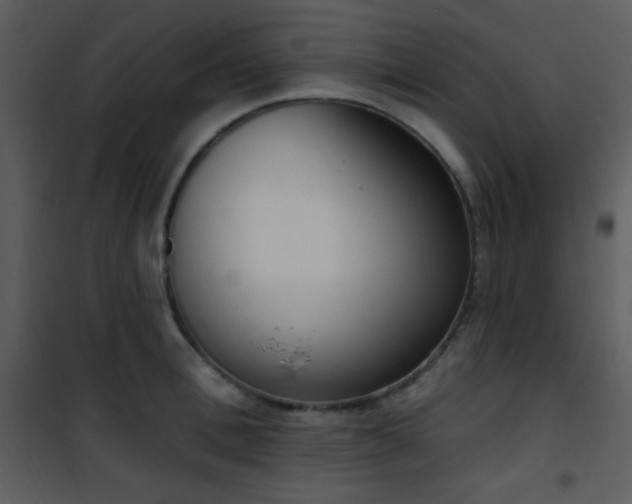 X0000102000996200807181200