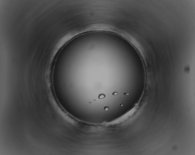 X0000102000997200807181200