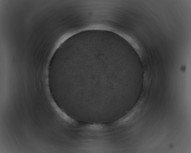 X0000102000998200807181200