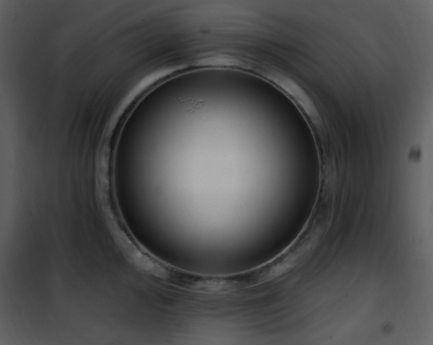 X0000102001000200807181200