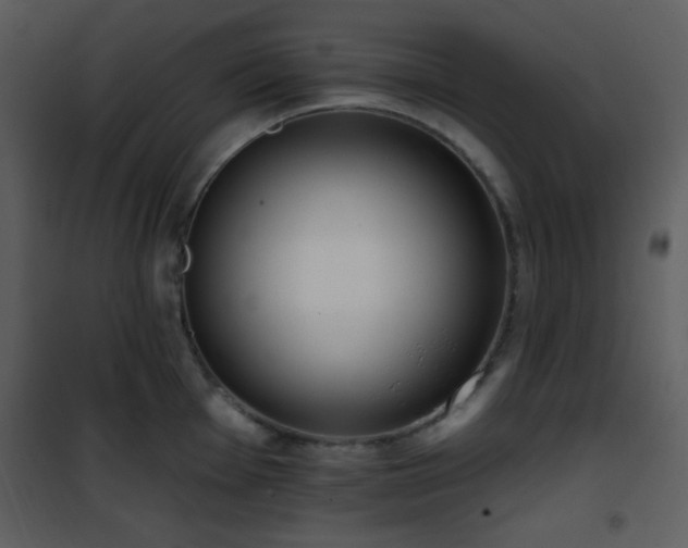 X0000102001001200807181200