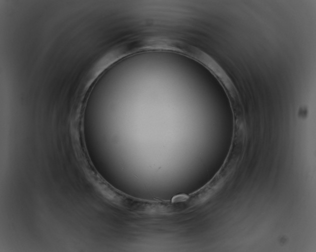 X0000102001002200807181200