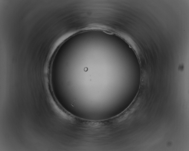 X0000102001003200807181200