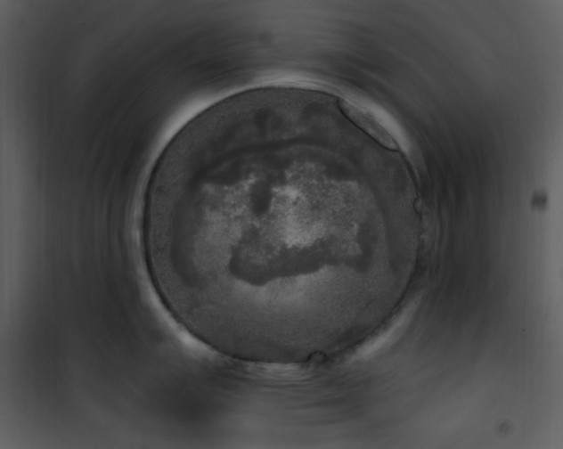 X0000102001007200807181200