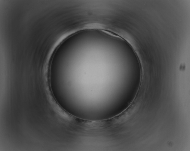 X0000102001008200807181200