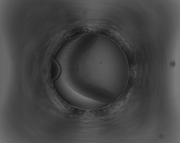 X0000102001009200807181159