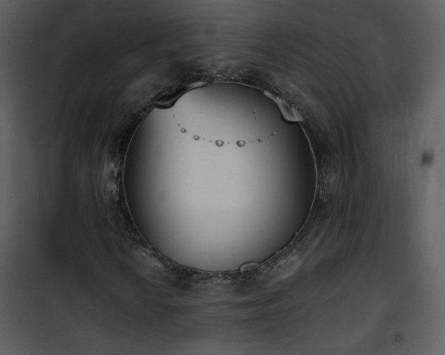 X0000102001010200807181159