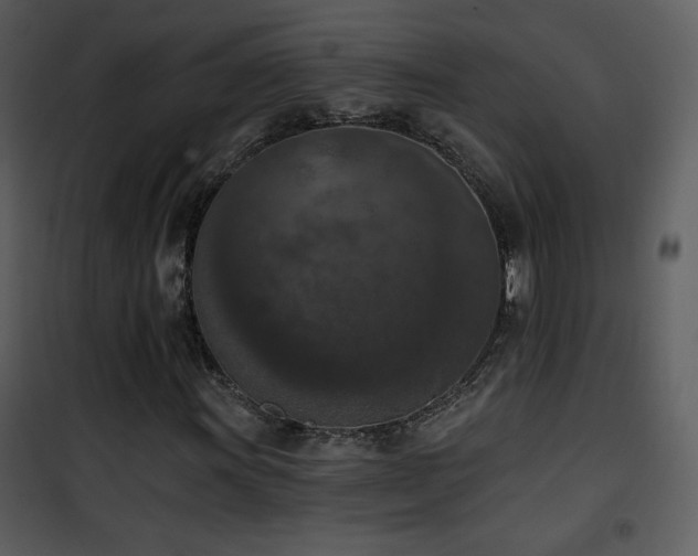 X0000102001011200807181200