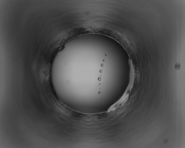 X0000102001012200807181200