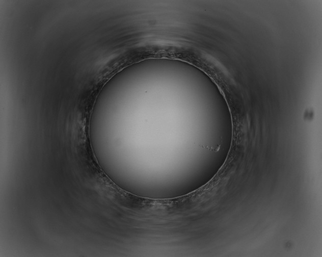 X0000102001013200807181200